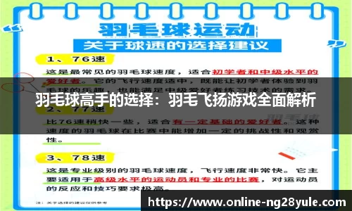 羽毛球高手的选择：羽毛飞扬游戏全面解析